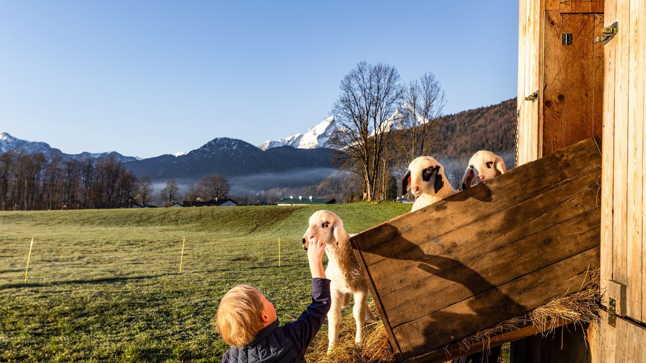 Erste Streicheleinheiten am Morgen Erste Streicheleinheiten am Morgen
